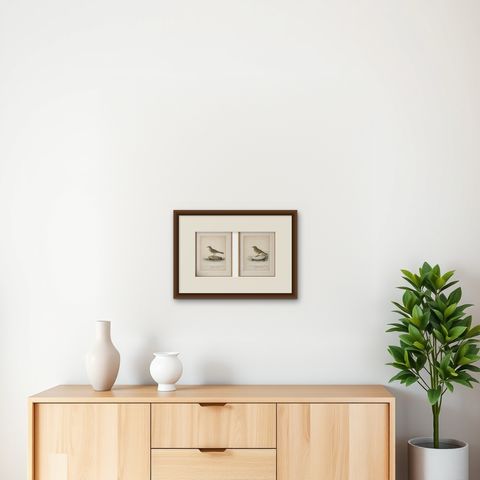 Minimalist Scandinavian Bird Lithographs, Nordic Alpine Pipit Study Pair, 1929, shown framed on a wall