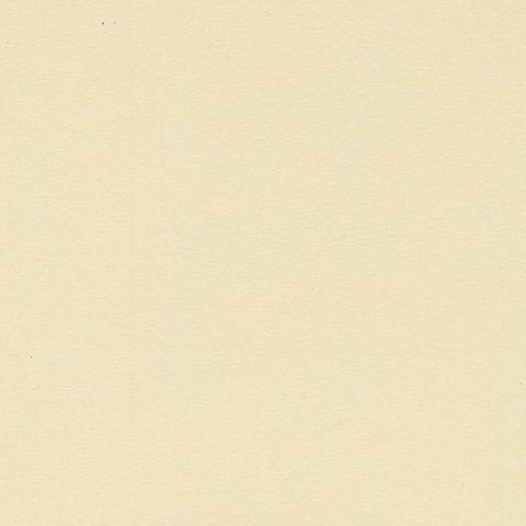 Antique Bird Print of the Common House Martin by Von Wright, '1927', close-up 1