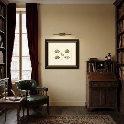 The Cerebellum, Antique Hirschfeld Anatomy Print, 1866, shown framed in a room