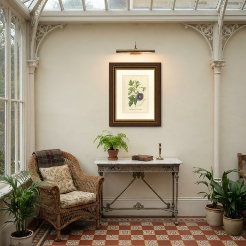 Japanese Morning Glory Caerulea Variegata, Pharbitis Polymorpha, 1858, shown framed in a room