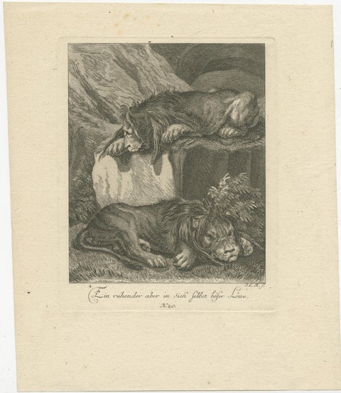 Original Antique Print of Two Lions Resting, view 2