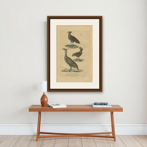 Bird Print of a Malay Scrubfowl, Black-rumped Buttonquail and the Elegant Trogon, shown framed on a wall