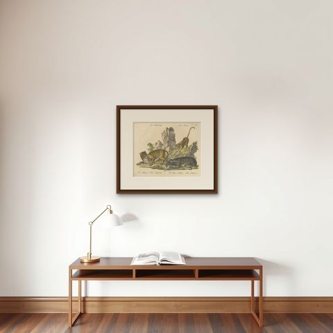 Antique Leopard & Panther Lithograph by Karl Joseph Brodtmann, 1816, shown framed on a wall