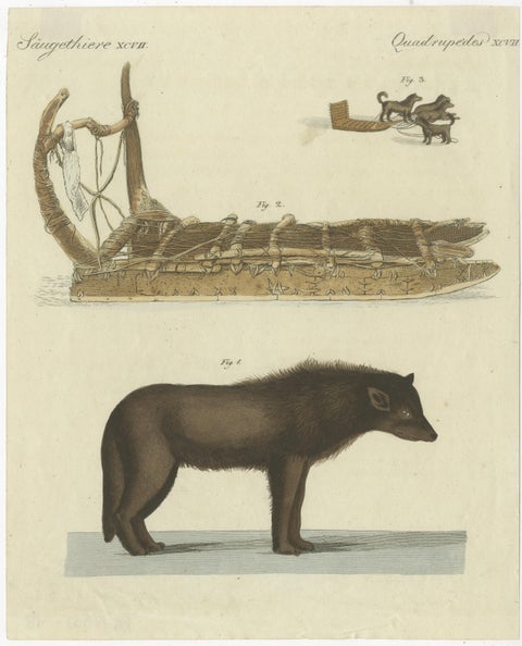 Antique Print of a Dog from Baffin Bay Greenland and a Dog Sled, ca.1800, view 2