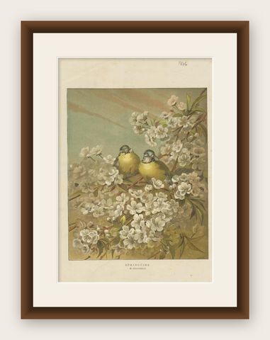Antique Bird Print of Birds in Springtime, 1886, shown framed