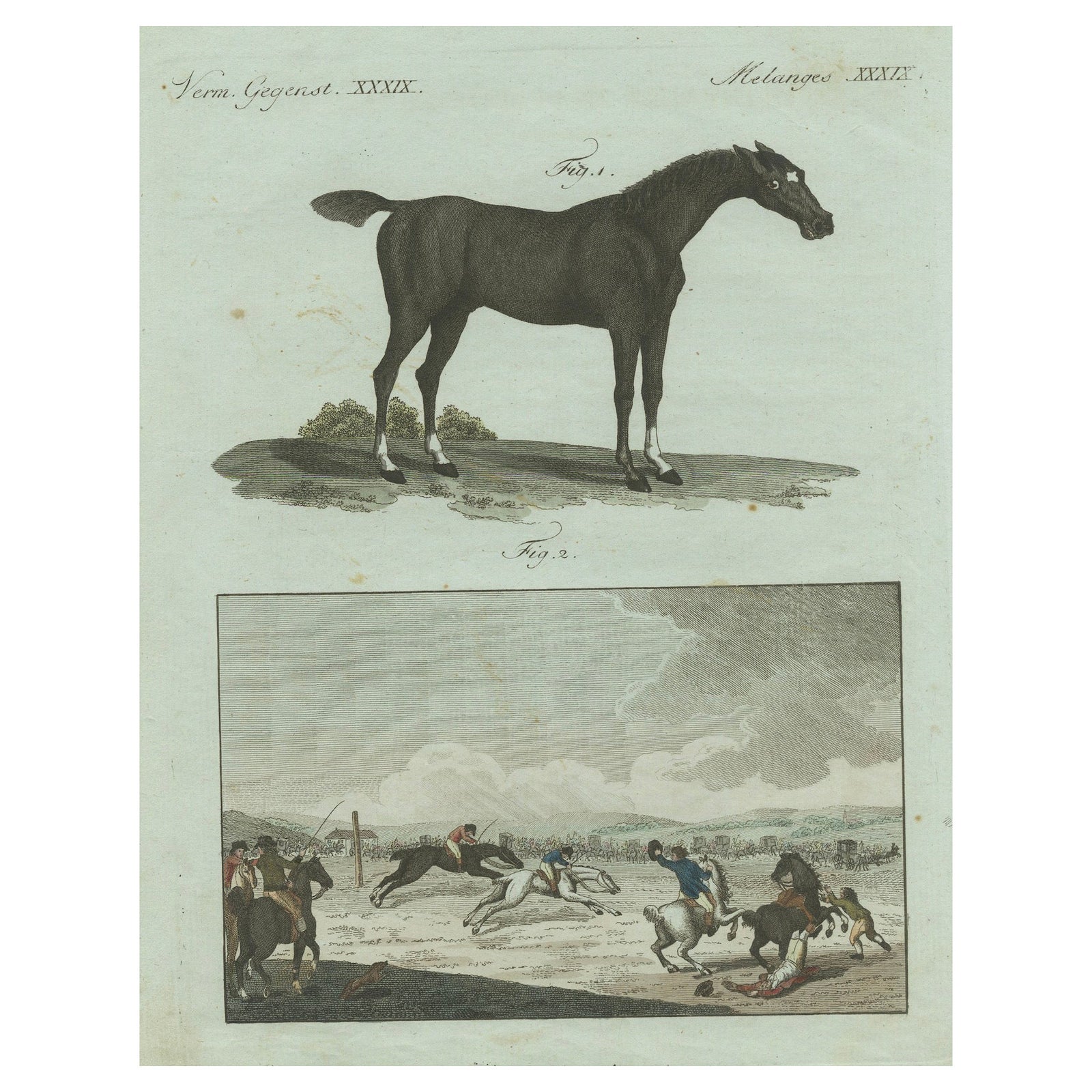 1802 Hand-Colored Print of English Racing Horse and Race Track Scene