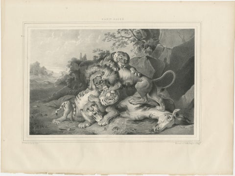 Raden Saleh Tigers & Lions Fight Horse Lithograph, The Hague c.1845, view 2