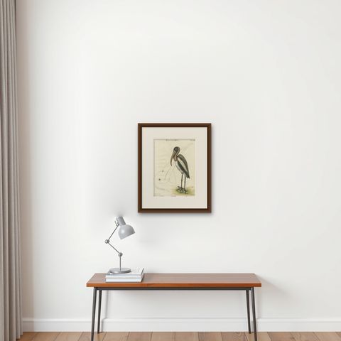 Antique Hand-Colored Engraving of the American Pelican, 19th Century, shown framed on a wall