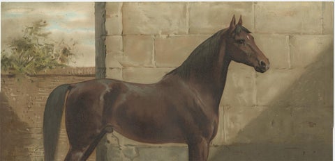 Antique Print of the East Prussian Horse by O. Eerelman, 1898, view 4