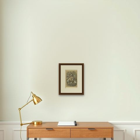 Antique Bird Print of Various Pigeons, 1853, shown framed on a wall