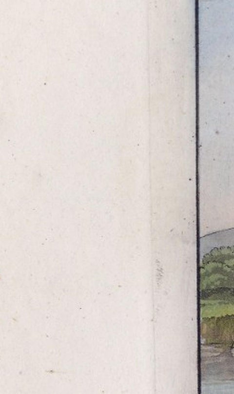 Chinese Farmer with Water Buffalo, Agricultural Scene, Ferrario Print of 1815, view 6