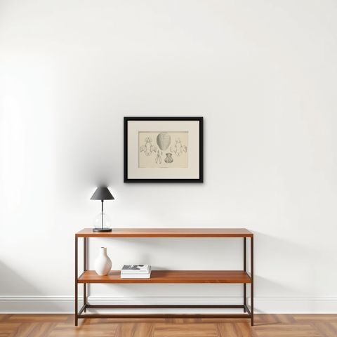 Antique Print of the Zambezi Flapshell Turtle, shown framed on a wall