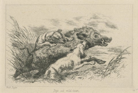 Dogs Attacking a Wild Boar, Dramatic Sporting Etching by J.F. Tayler, 1872, close-up 1
