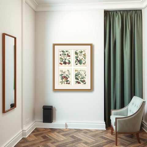 Antique Cherry Botanical Chromolithographs, Set of Four, Calwer 1854, shown framed in a room