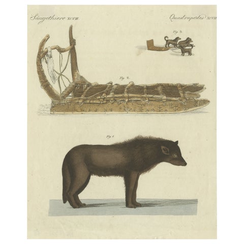 Antique Print of a Dog from Baffin Bay Greenland and a Dog Sled, ca.1800