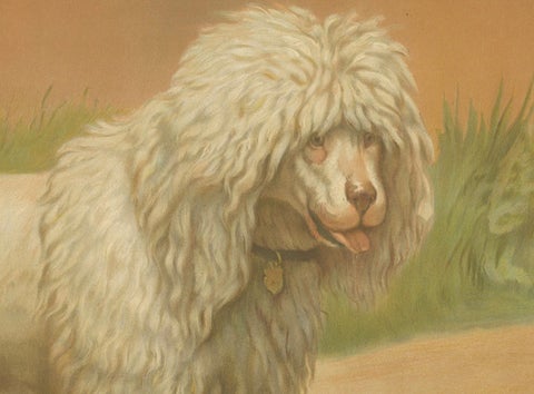 Poodle and Hound, Large Antique Dog Poster by Briedwiser, c.1880, close-up 4