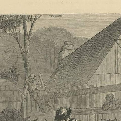 Antique Farm Print of Mustering Cattle in Australia, 1871, close-up 1