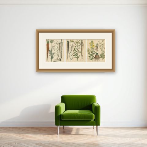 Antique Root and Medicinal Plant Prints, Botanical Studies, Germany 1852, shown framed on a wall