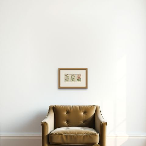 Garden Elegance: A Triptych of 19th Century Botanical Illustrations, 1896, shown framed on a wall