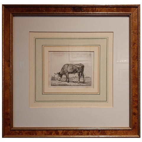 Antique Etching of a Grazing Cow by Van Troostwijk, Framed, 1810