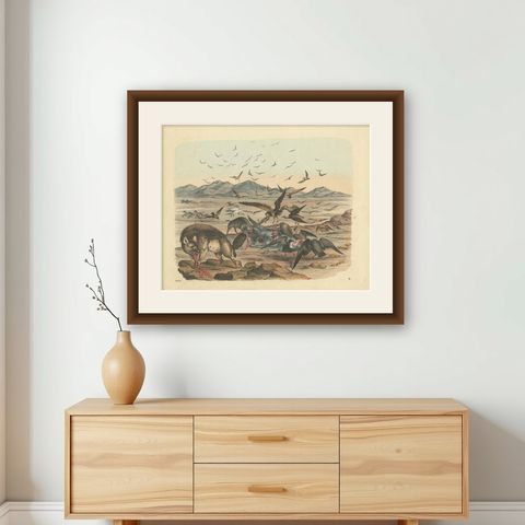 Antique Print of a Zebra Hunt with Hyena species and many Vultures, 'c.1860', shown framed on a wall