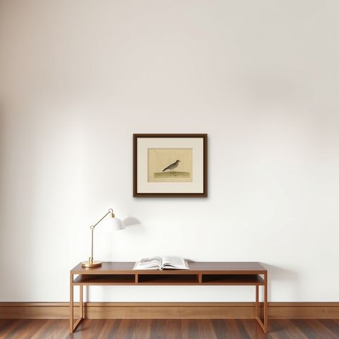 Antique Bird Print of the Small Lark by Albin, c.1738, shown framed on a wall