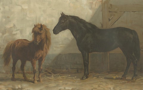 Antique Print of an English and French Pony by O. Eerelman, 1898, view 4