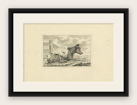 Etching of Resting Cow by Fence: Rural Scene by Anthony Oberman, 1810, shown framed