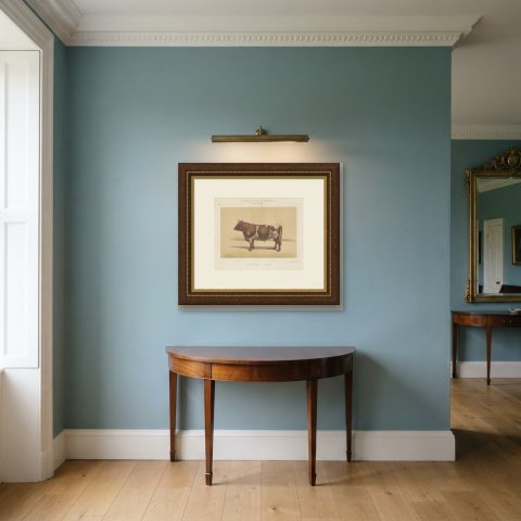 Ayrshire Bull, Scottish Cattle Chromolithograph by Olivier de Penne, 1863, shown framed in a room