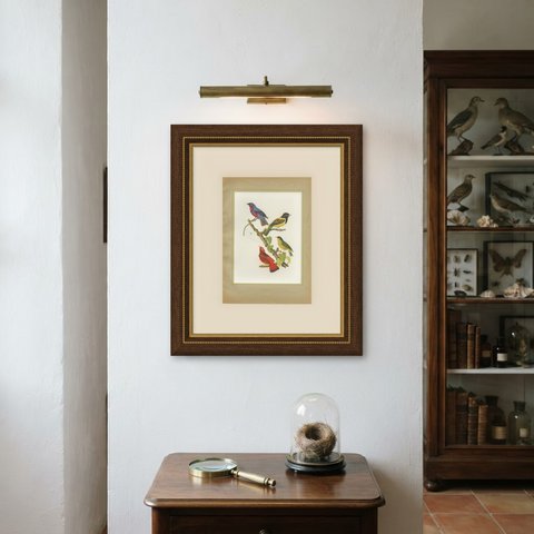 Tanagers and Cotingas, Brazilian Bird Print, Descourtilz, 1944, shown framed on a wall