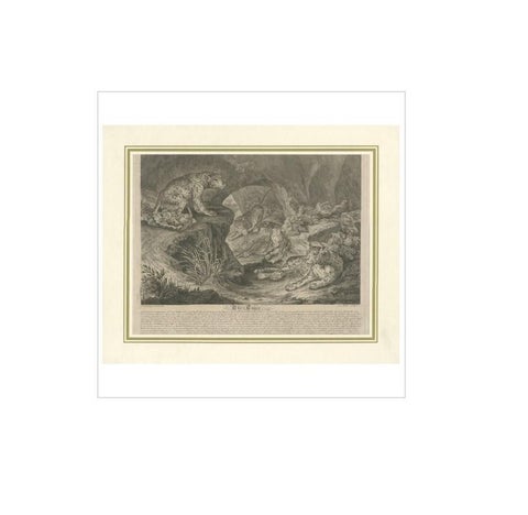 Antique Print of Leopards by J.S. Müller, 1794, view 2