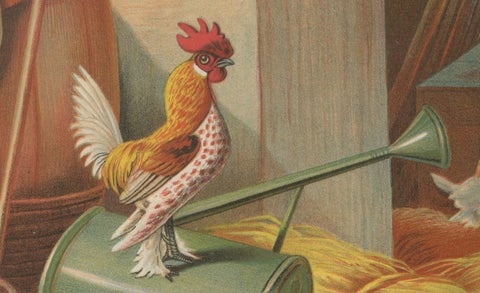 The Charming Krielhoenders - A 19th Century Poultry Lithograph, close-up 3