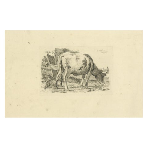 Etching of Grazing Cow by Fence: Farm Scene, Produced by A.Oberman in 1809