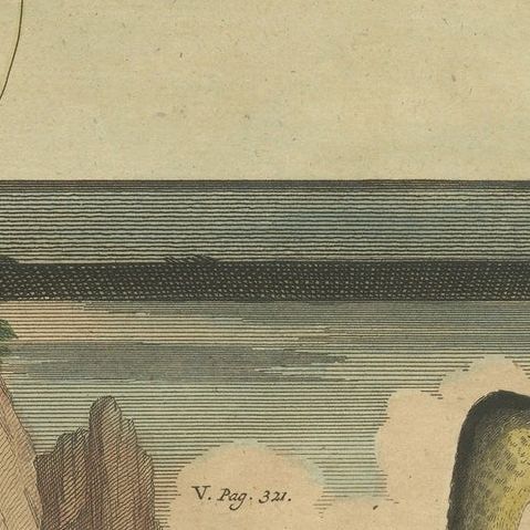 Colored Print of Birds of Paradise and the Eurasian Woodcock, close-up 1