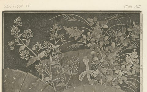 Japanese Fans and Floral Heliogravure Print by G. A. Audsley, Paris, c. 1880, close-up 2