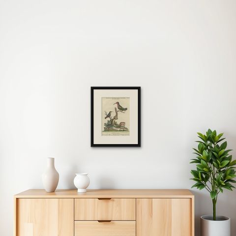 Hand-Colored Engraving of Hummingbirds and Dormouse by Seligmann, ca.1770, shown framed on a wall