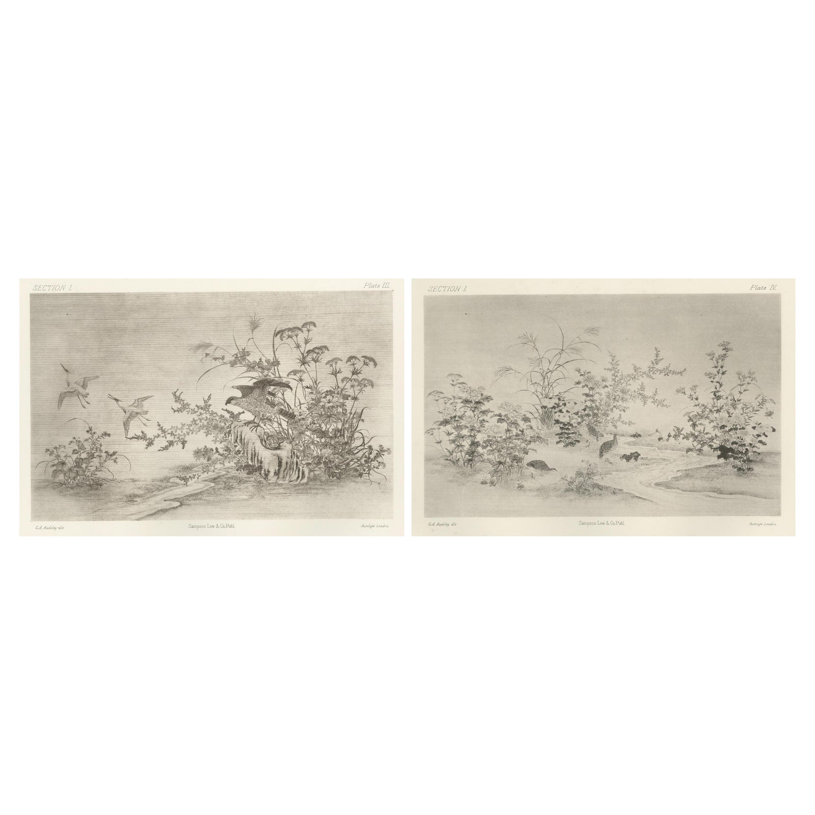 Japanese Nature Scene Prints: Delicate 19th-Century Botanical & Bird Etchings