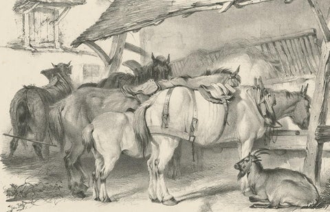 19th Century Antique Print of Horses and a Goat by Cooper, 1839, view 3