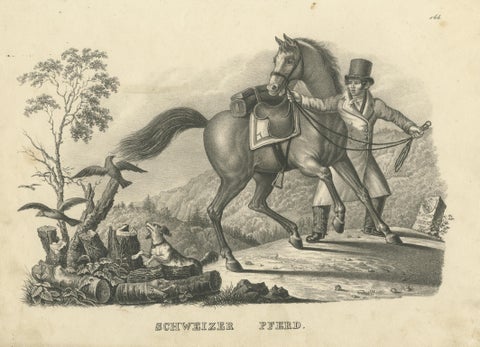 Antique Print of a Swiss Horse, view 3