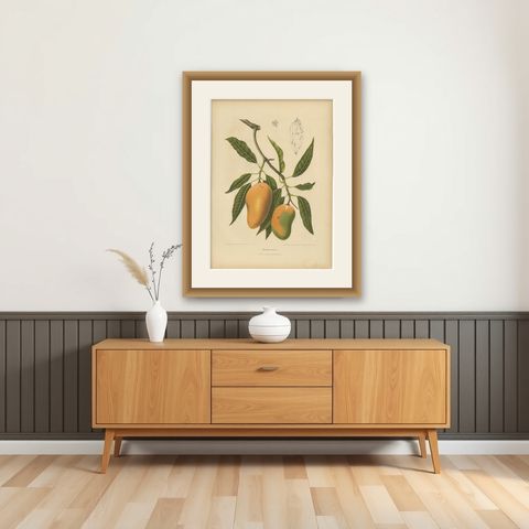 Antique Mango Botanical Chromolithograph by Hoola van Nooten, c. 1880, shown framed on a wall