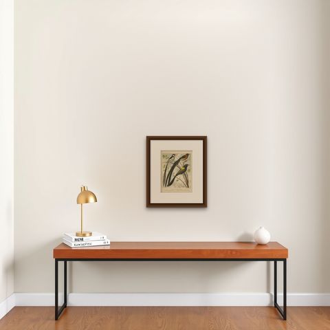 Antique Bird Print of Pale-Headed Rosella and Rosella Parrakeet, 'circa 1880', shown framed on a wall