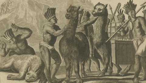 Original Antique Engraving of Peruvian Llamas by Arnoldus Montanus, c.1671, close-up 3