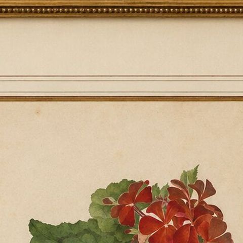 Two Stems with Red Flowers, Botanical Watercolor by A.L., 1819, close-up 5