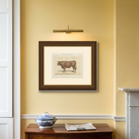 Limousin Ox, French Cattle Breed, Antique Chromolithograph by Borie, 1863, shown framed on a wall