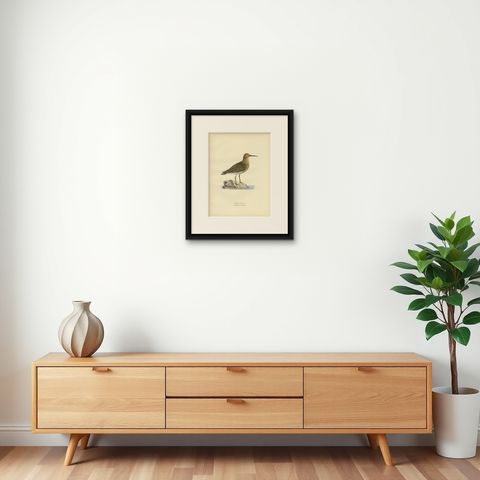 Antique Bird Print of the Wader 'Winter' by Von Wright, 1929, shown framed on a wall