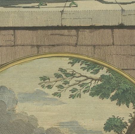 Colored Antique Print of a Grasshopper, Hedgehogs and the Horn of Doe, close-up 2