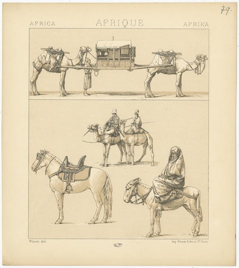 Antique Print of African Working Animals by Racinet, 'circa 1880', view 4