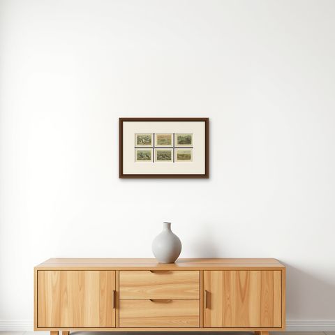 Set of 6 Antique Ornithology Chromolithographs, Arctic & European Birds, c.1890, shown framed on a wall