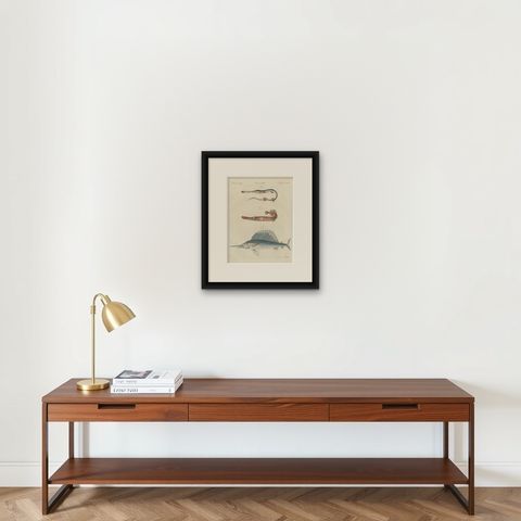 Sailfish, Cornetfish and Trumpetfish, Antique Bertuch Print, circa 1805, shown framed on a wall