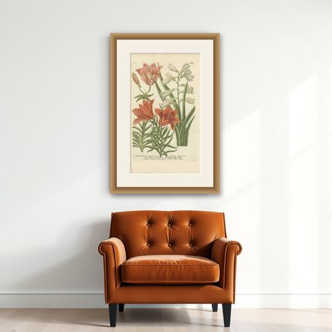 Botanical Elegance: Antique Engravings from Johann Weinmann's Masterpiece, 1748, shown framed on a wall
